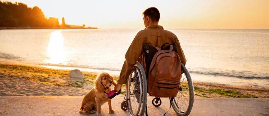 Tekerlekli sandalye adam ve köpek