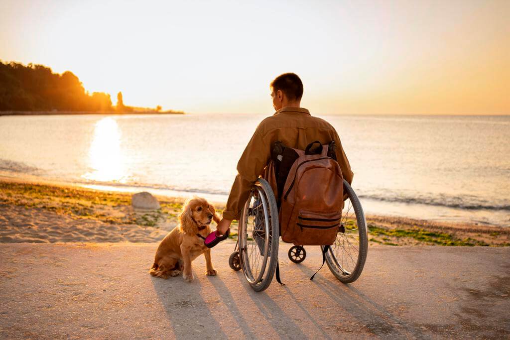 Tekerlekli sandalye adam ve köpek